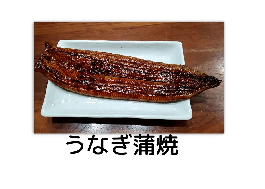 615551a4edf49f059efb11b4
