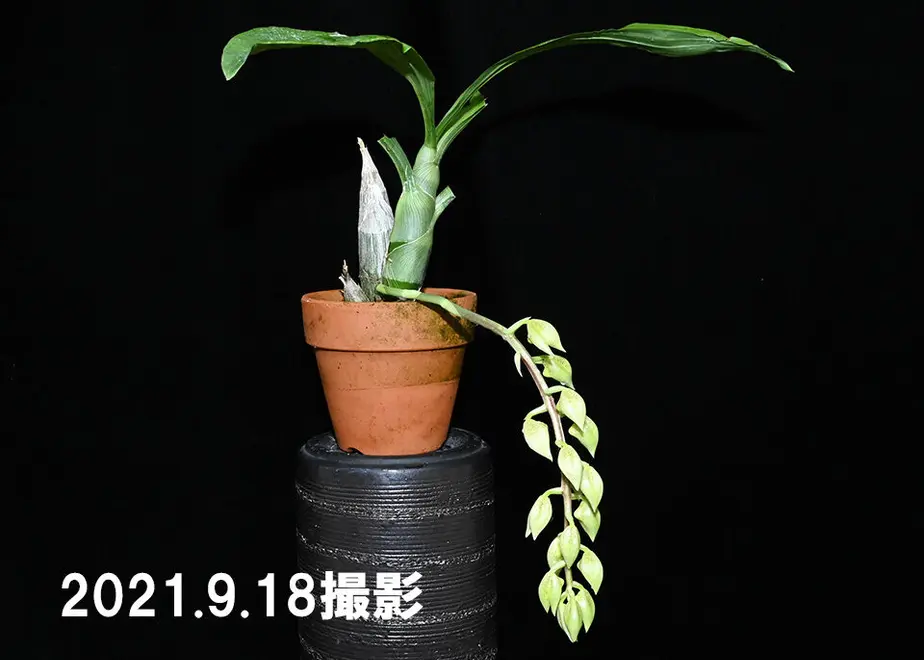 6145c2d651244e1ff0b2ab74