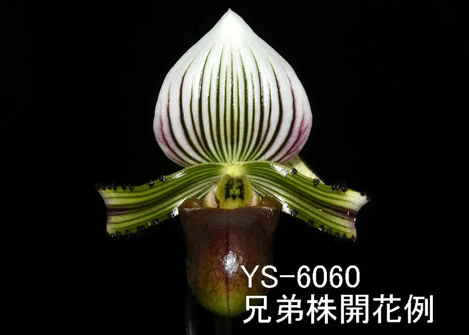 6083c9d5f3c5e72c5b9f1cfb