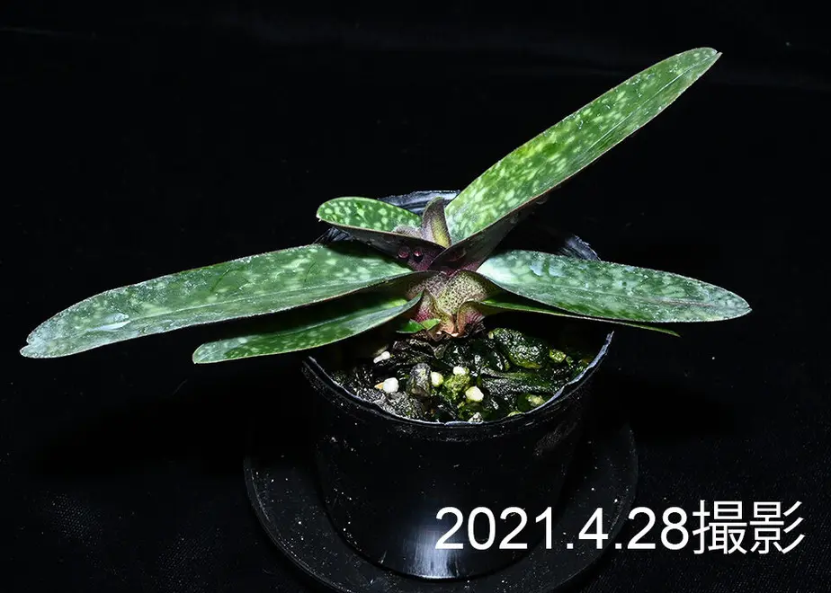 6089154ada019c02004ece4a