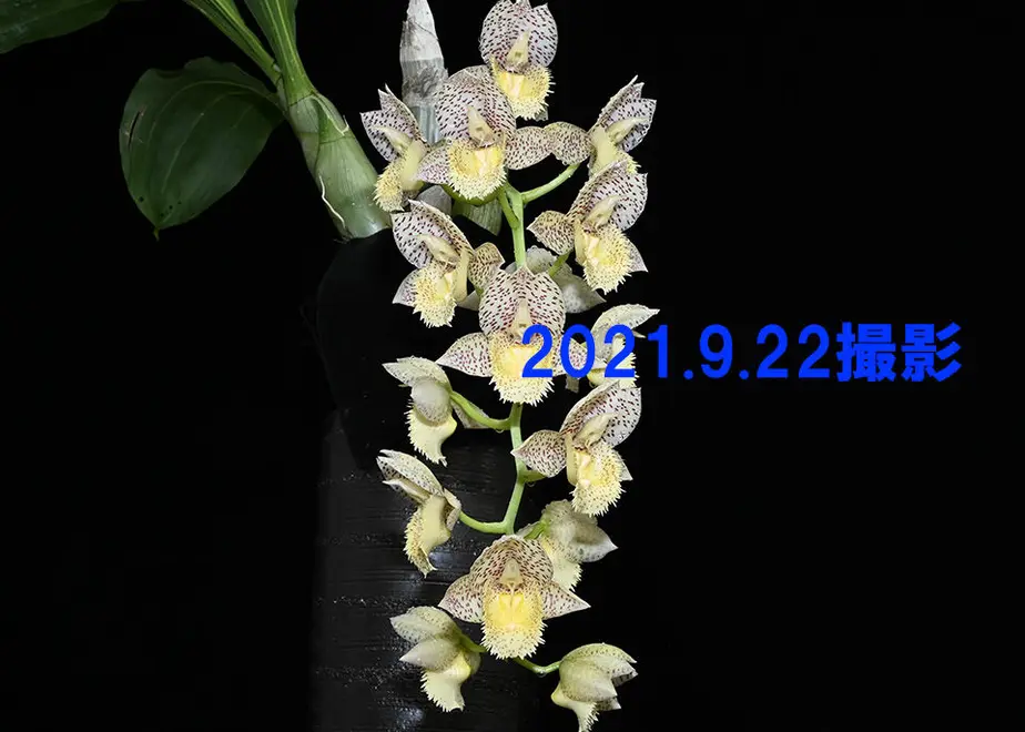614ae715acbcb0764828a2c8