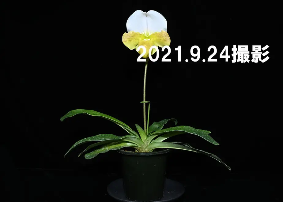 614d9441306ad34fa282cf66