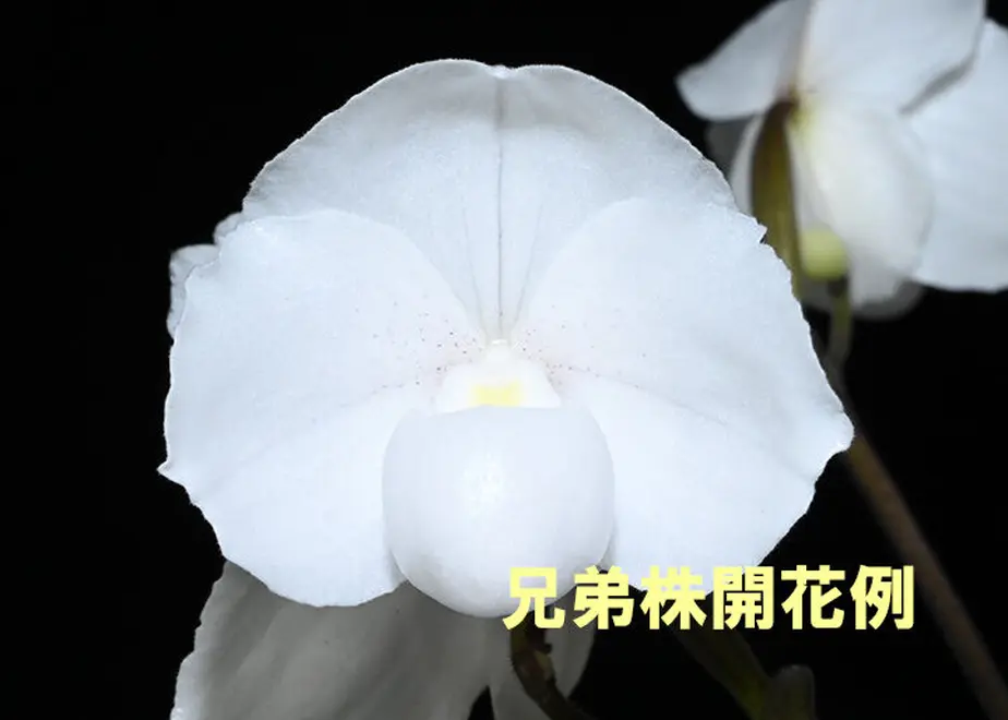 62e87f72bef38132fb40014f