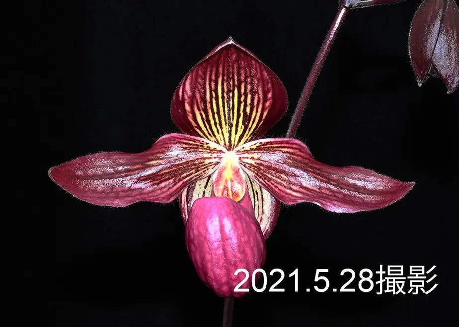 60b077650e2403780ef8e0ef