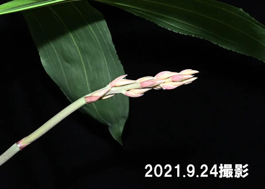 614d91faa102750318ddfa2b
