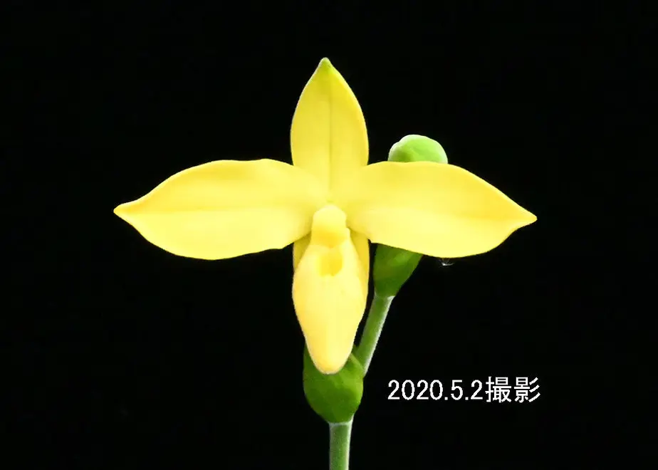 5ead37a2bd21784df2de0a76