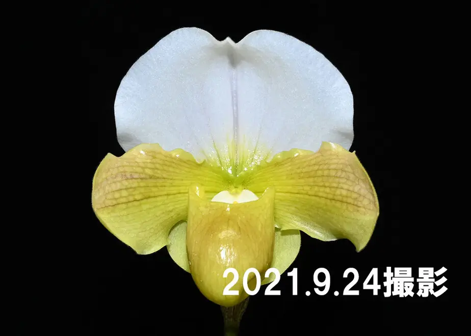 614d9441306ad34fa282cf66