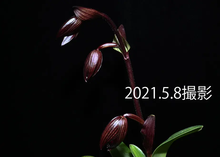 609643f8da019c64c7c0cb5c