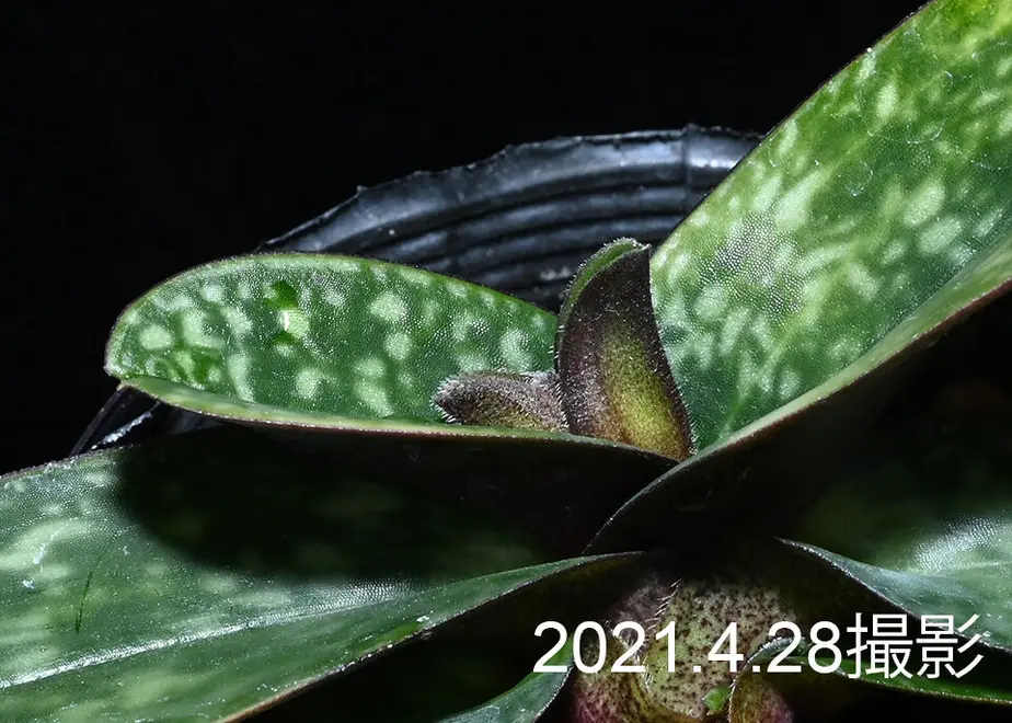6089154ada019c02004ece4a