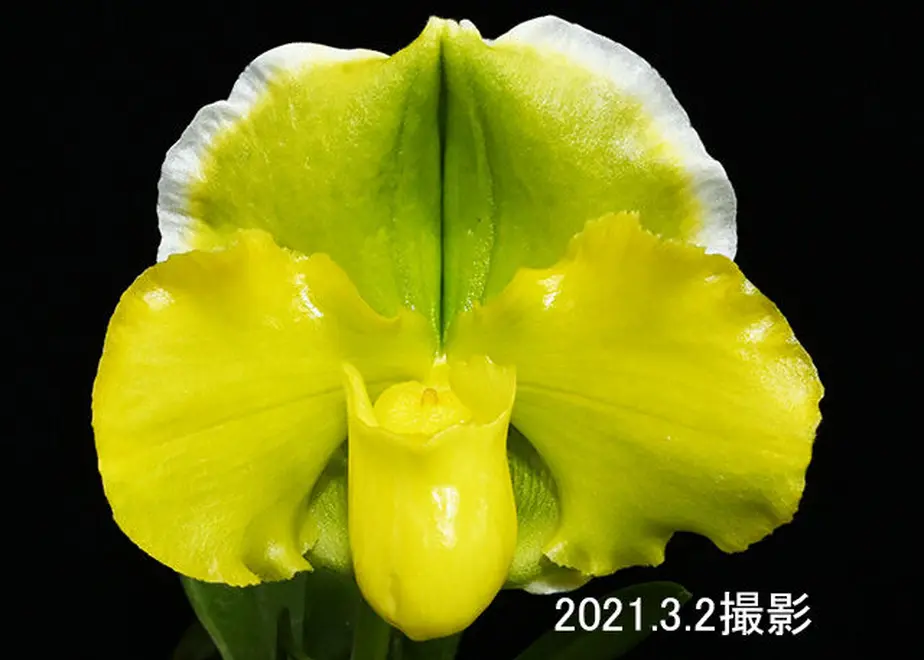 603dd3276728be46118407a2