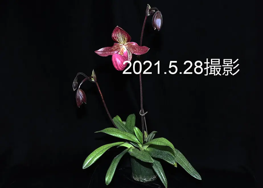 60b077650e2403780ef8e0ef