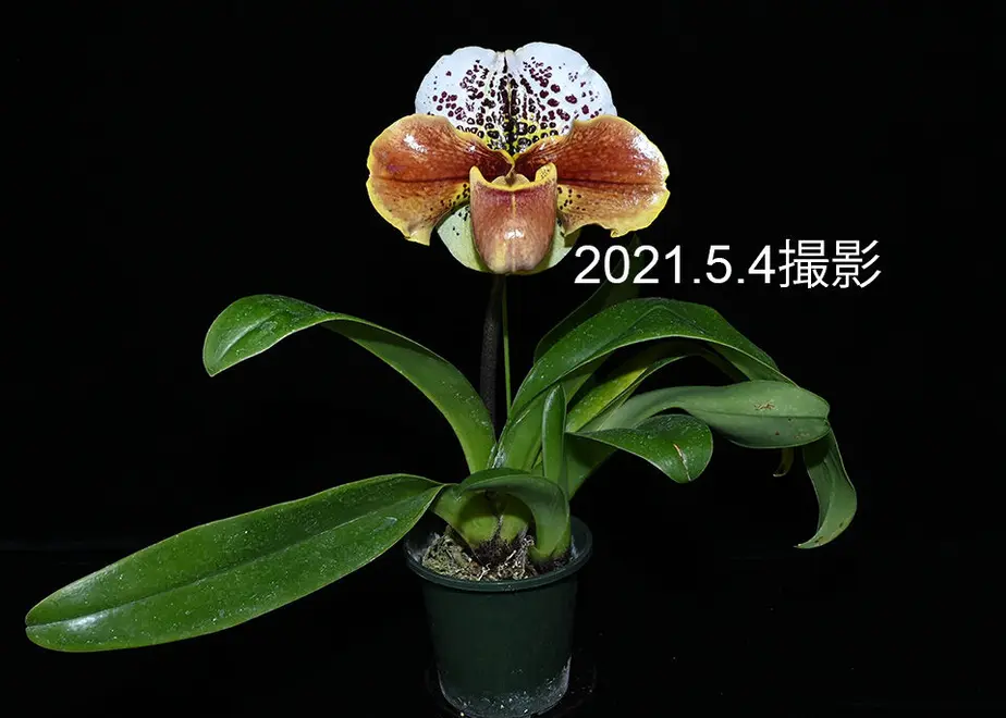 609102bfc9827a3d2d172ed3