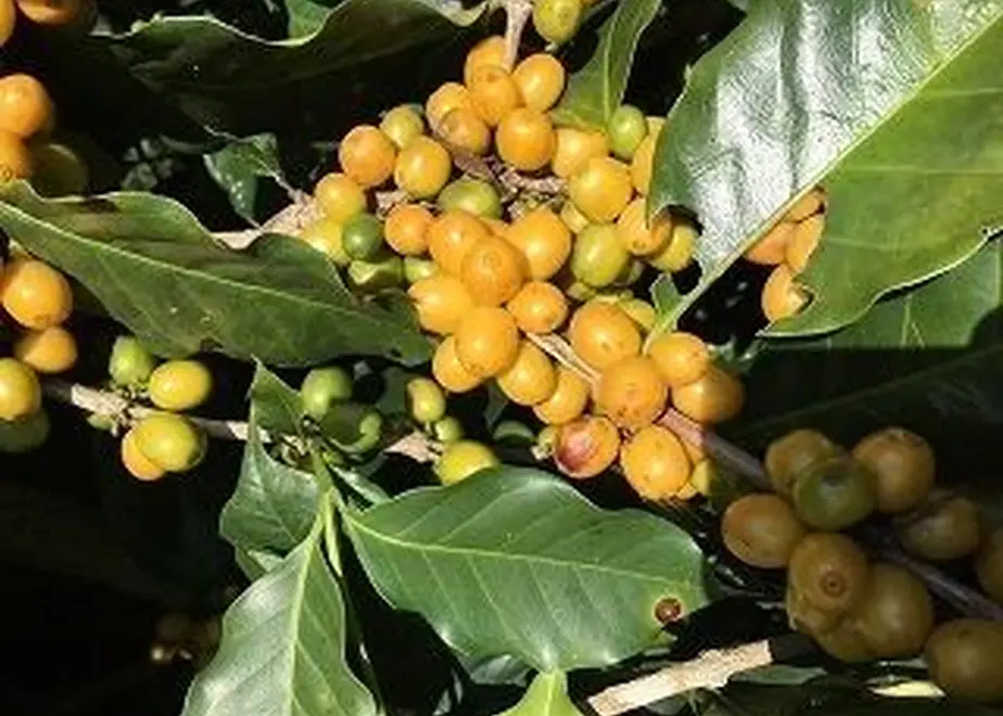 5c1ec101c49cf32fbd2e1c16