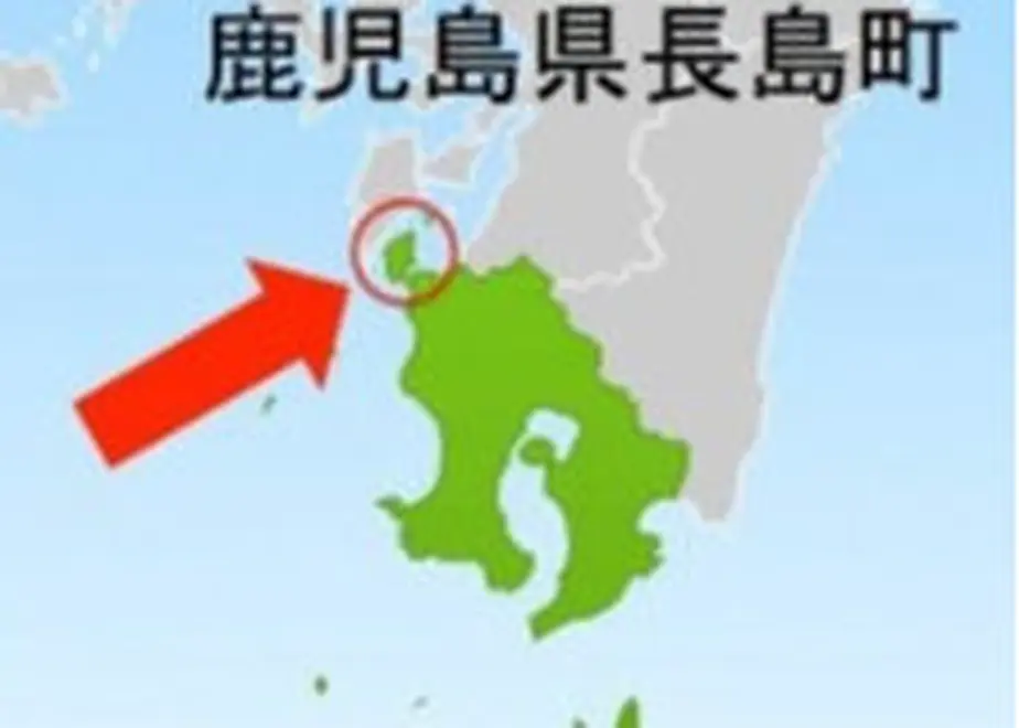 5f8a99753313d25a1b50550d