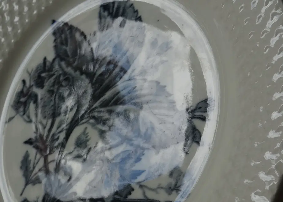 5e2312214c4ae87d91aea435