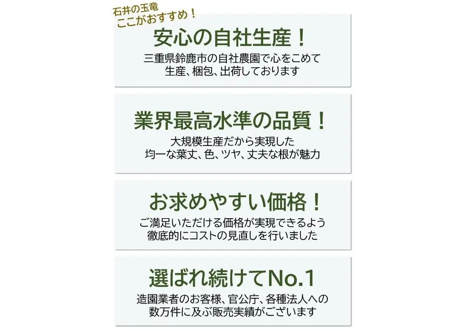 5e2461c4fa03d736ef9d987b
