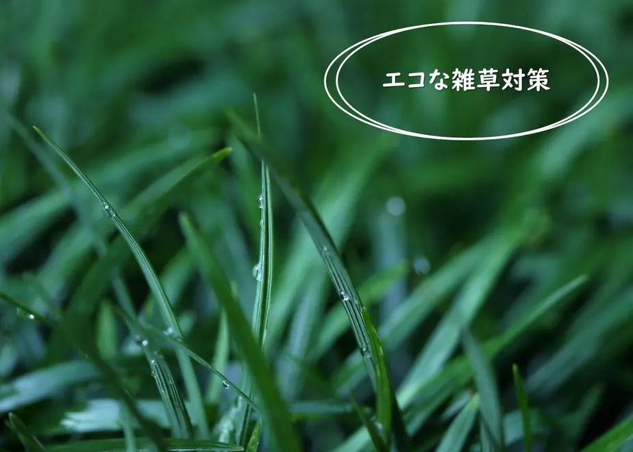 5e2461c4fa03d736ef9d987b