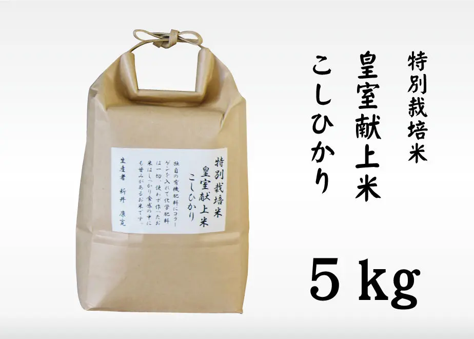 5fb377e1da019c48e5961ad1