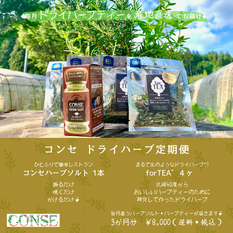 Conse Online Shop