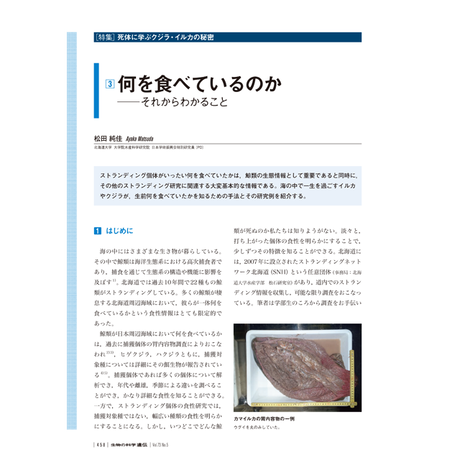 Iden Onlinestores Iden Onlinestores