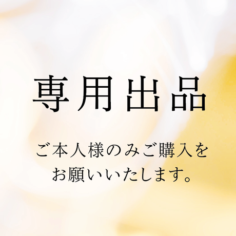 Power Creation 【返品交換不可】 じ 様専用 家庭用ゲーム本体