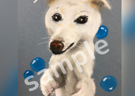 パステル画家kinoの店 アネモネ