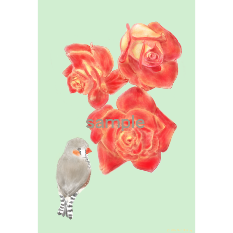 Little Bird Holiday