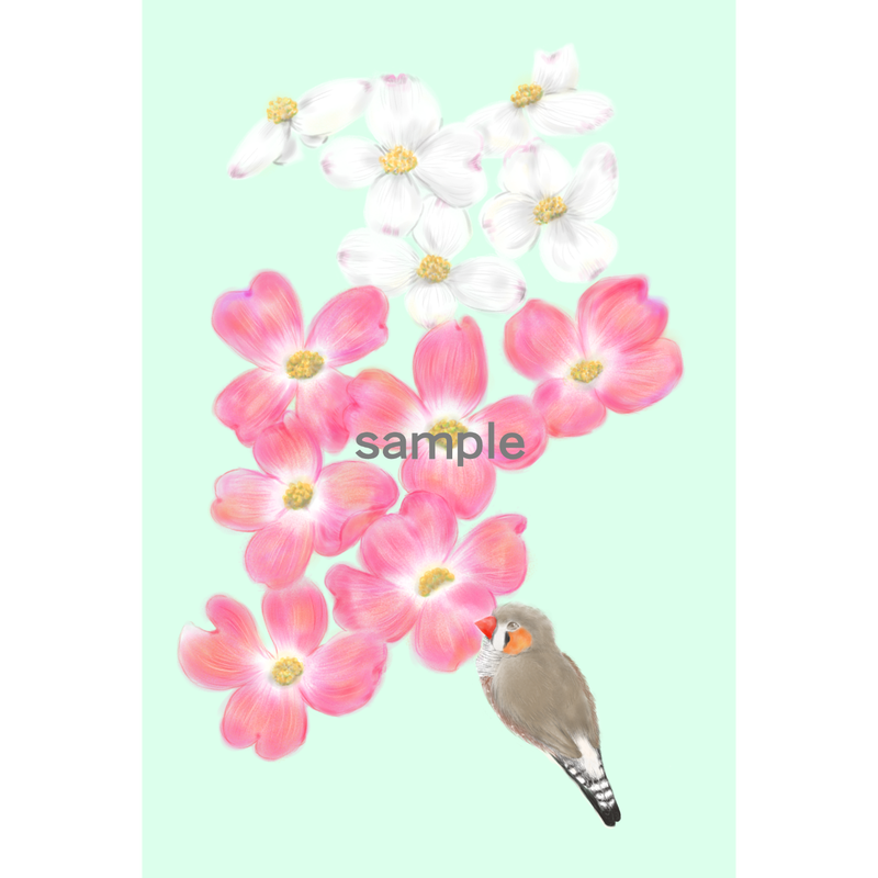 Little Bird Holiday