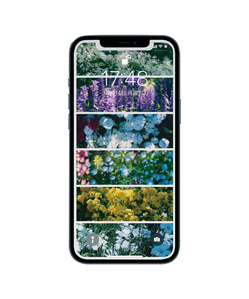 Library Of Scenery Store