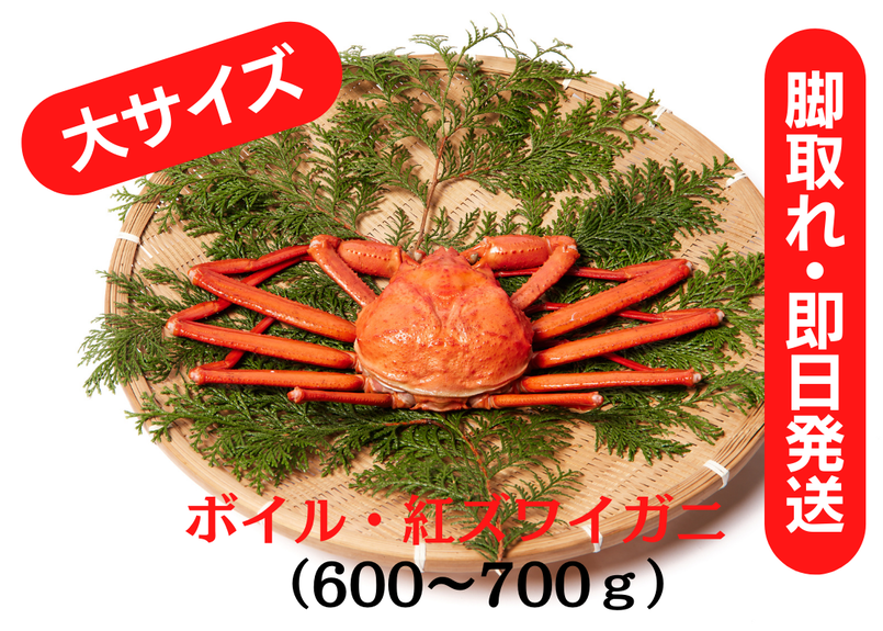 Ifnudtt8sf9ofm Ifnudtt8sf9ofm