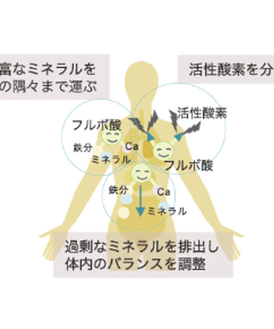 601b4a356728be2634f1d402