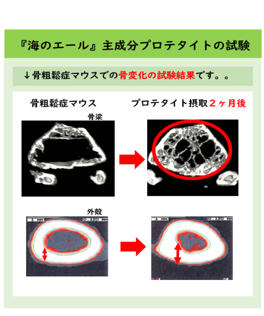 61367b78306ad3258b427bd6