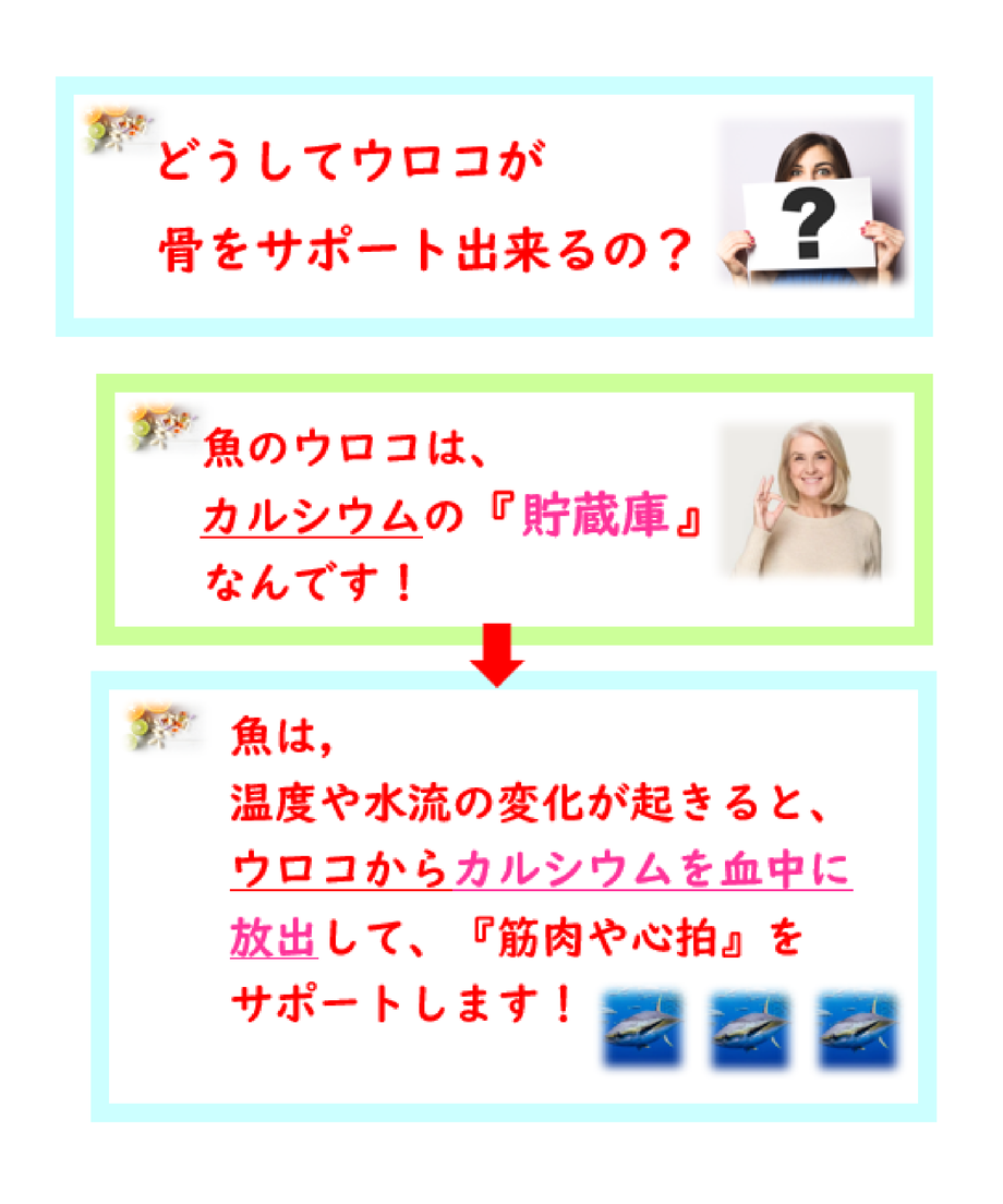 607deae4c9827a473a31dfd6