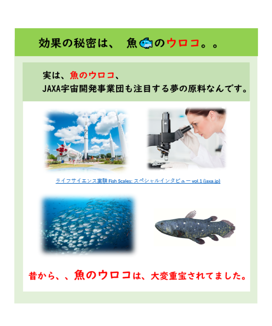 607deae4c9827a473a31dfd6