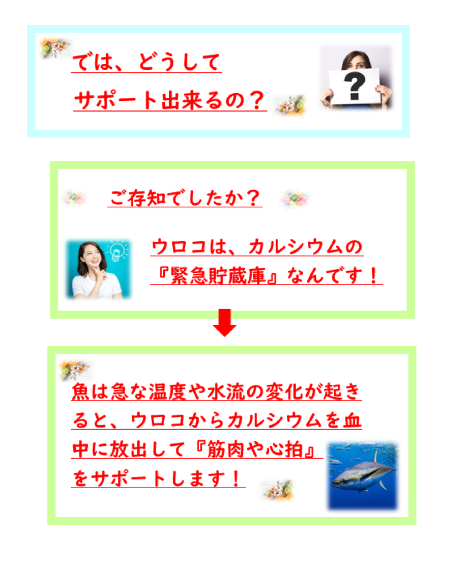 613674ab47a5345926c55a1f