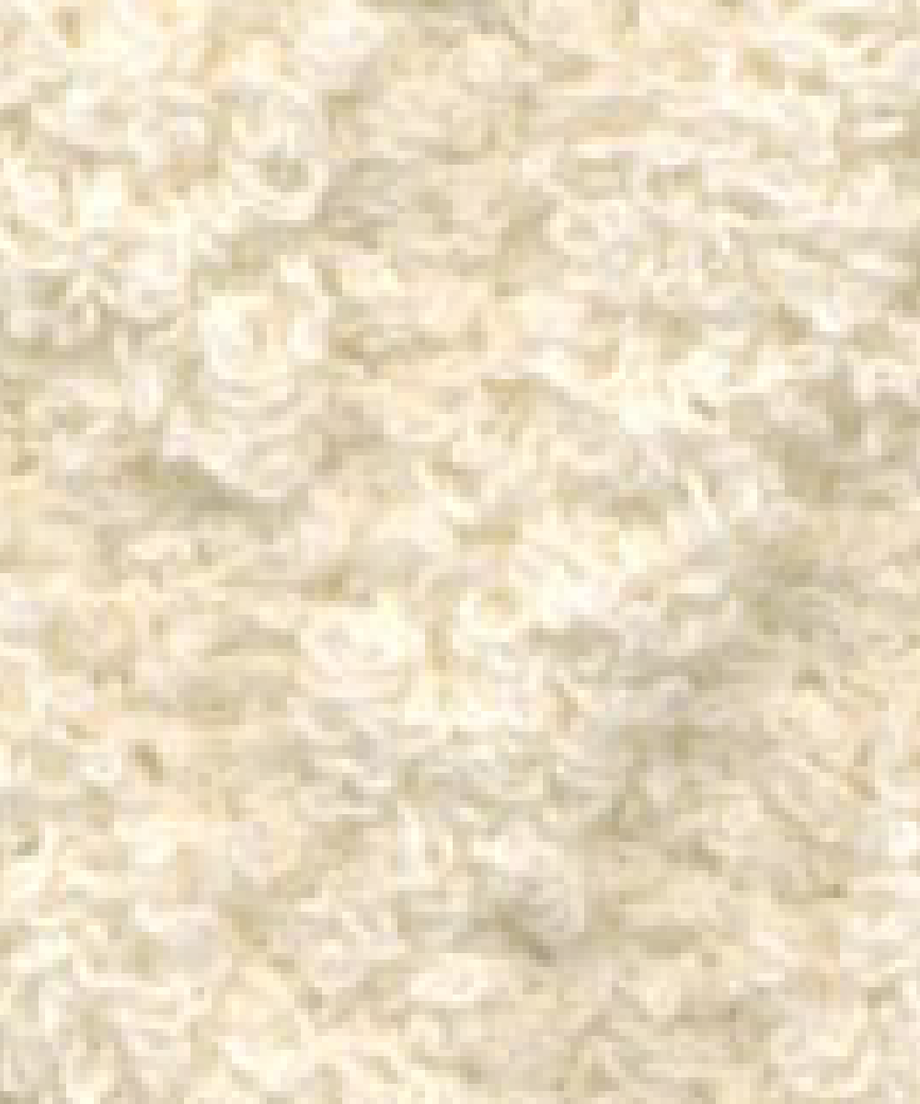 61eb8bee81dbb514ae90a5e8