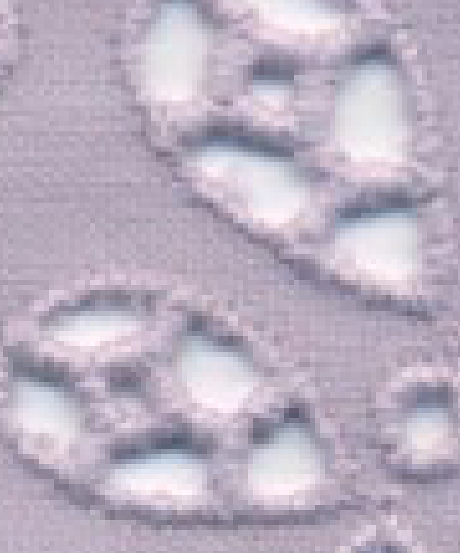 61eb9106113ce0343a0862f9