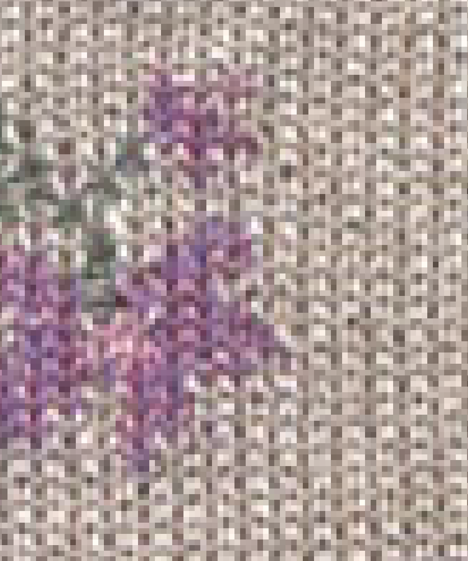 61ebcada423f6a3db4414f85