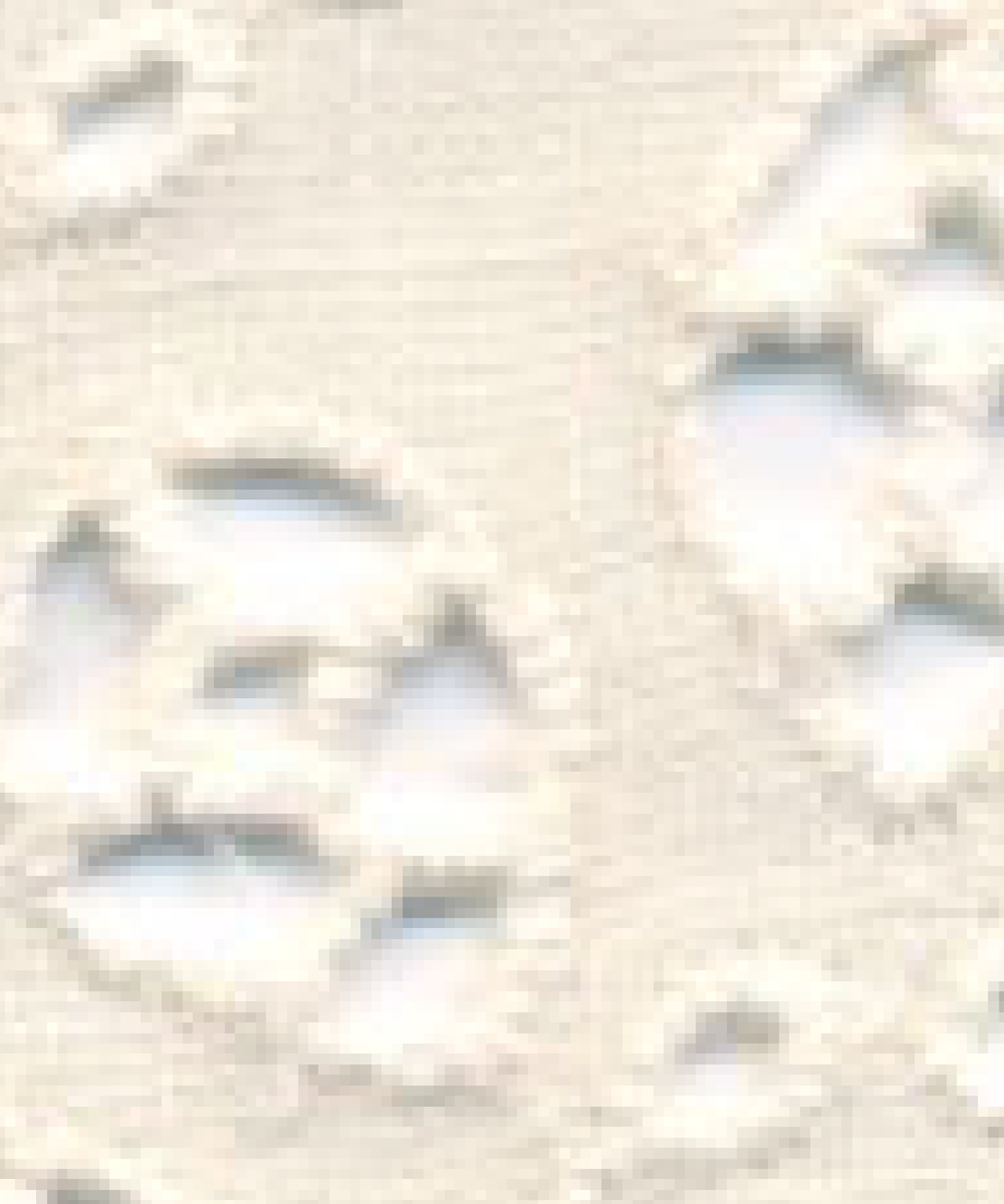 61eb9106113ce0343a0862f9