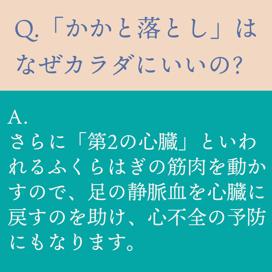 5f43120dd3f1671fdd44a220