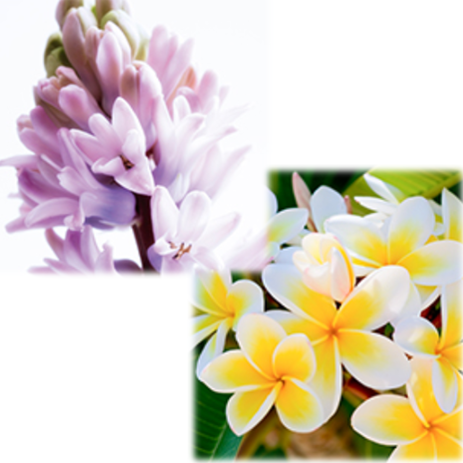 5f6d5cb24b083962e009c077
