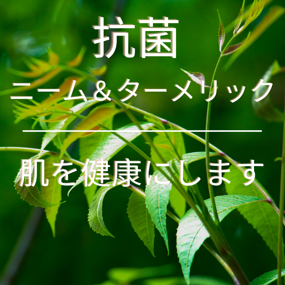 62e1ec342144253bf7a12730