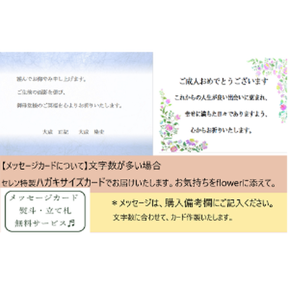 5ec64995bd217826ac86f1da
