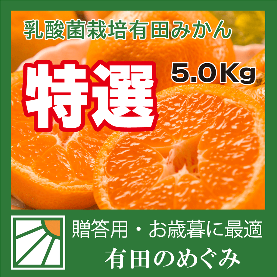 5fb0d51bb00aa32808846b99