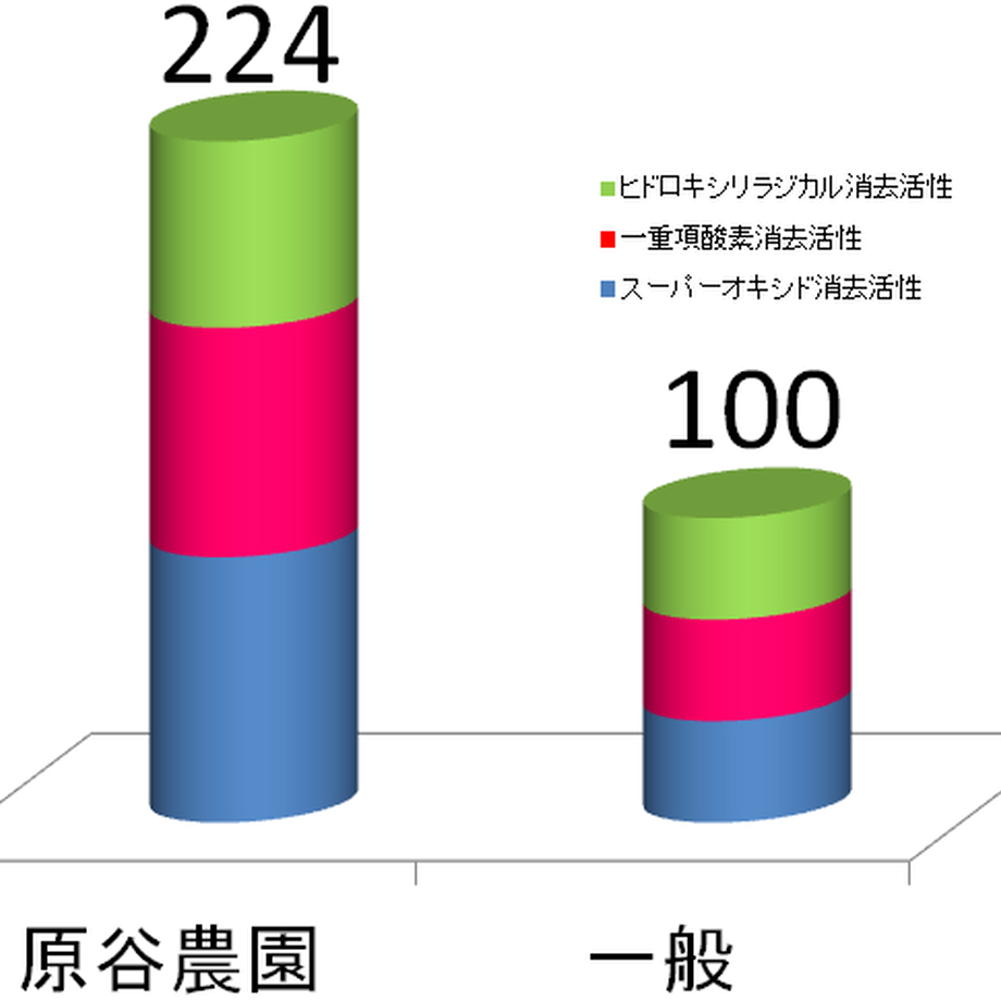 5f3493b8791d026d69b2e153