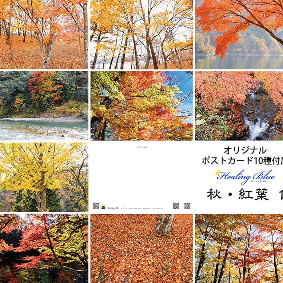 56627b9e3cd482433e0101dd