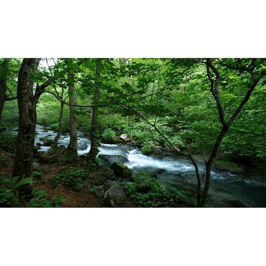 593f2143f22a5b763e004931