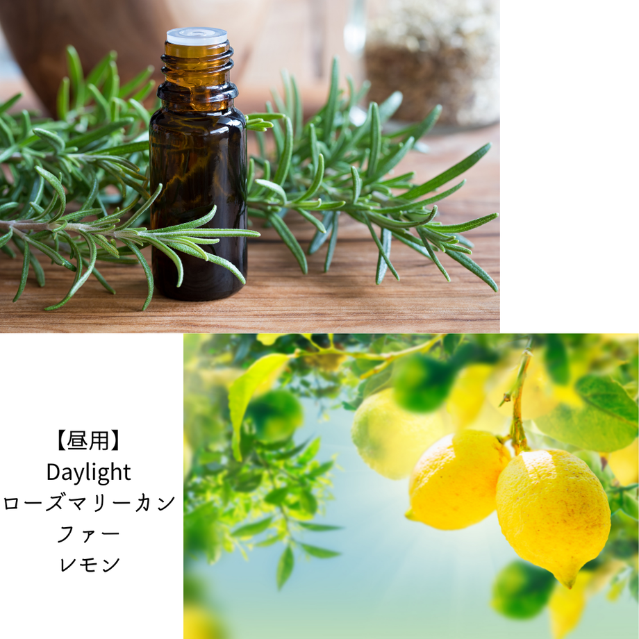 6199fdf8df51590cd4ff6077