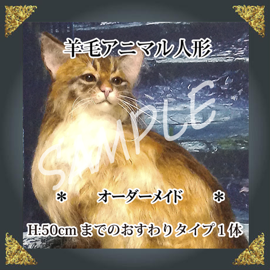 590be17ef22a5bddcb00f76c
