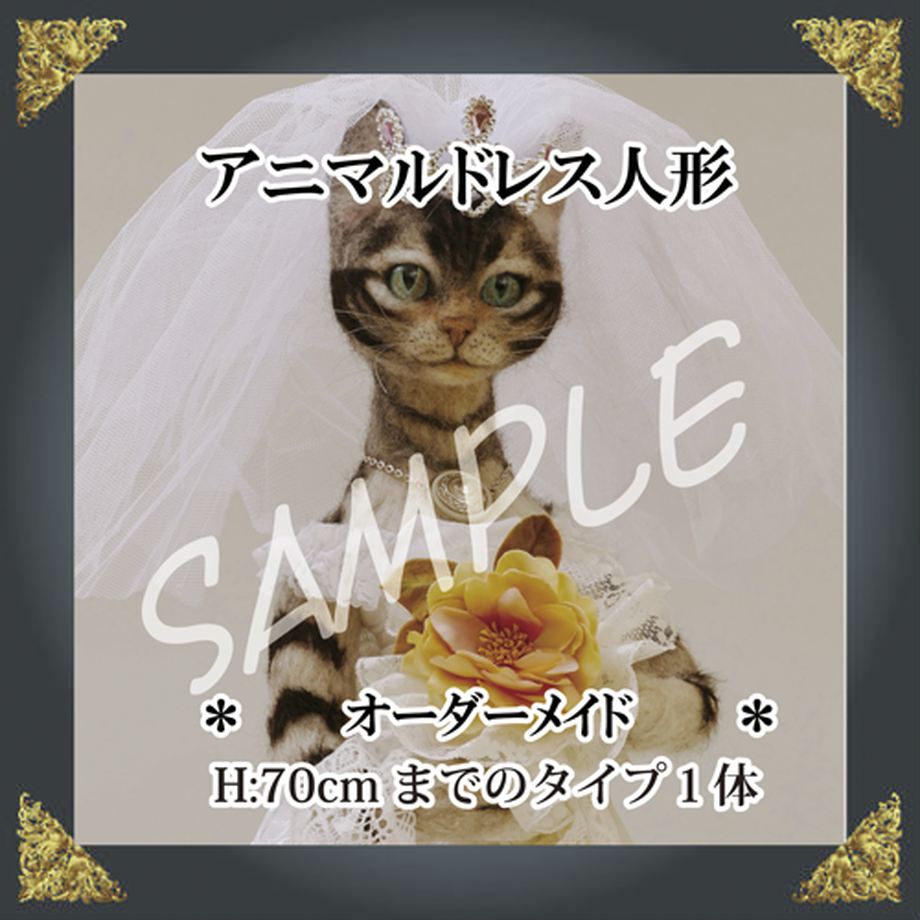 539fd4218a56108ccc00078c